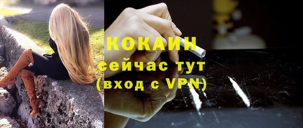 спайс Алзамай